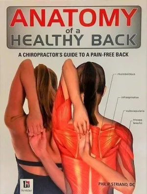 Anatomy Of A Healthy Back