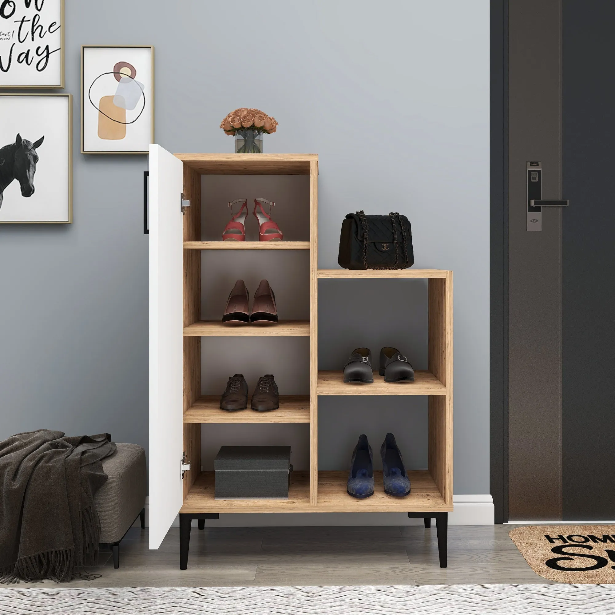 Beate Shoe Storage Shelf with Cabinet