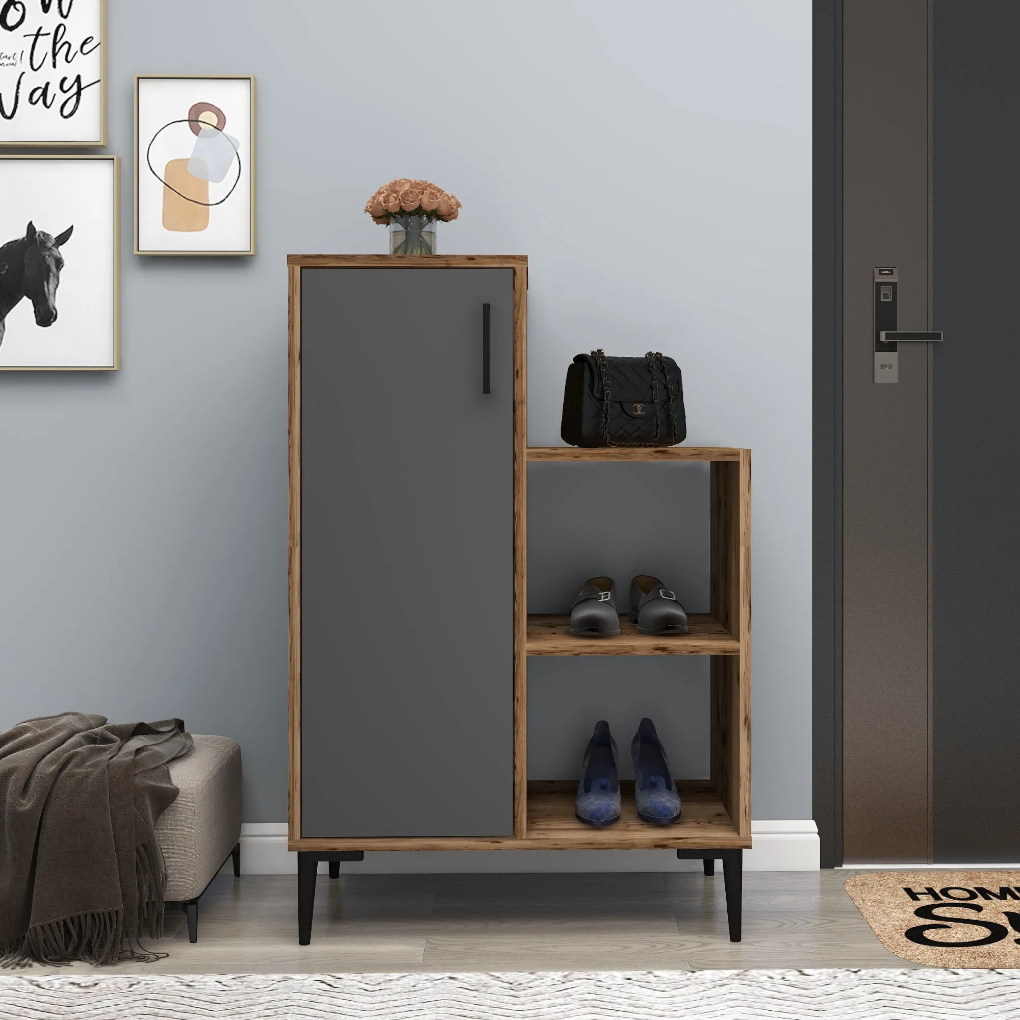 Beate Shoe Storage Shelf with Cabinet