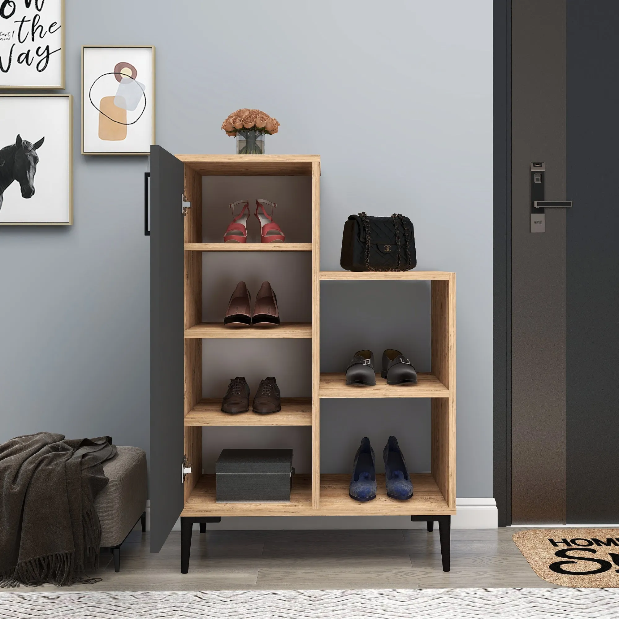 Beate Shoe Storage Shelf with Cabinet