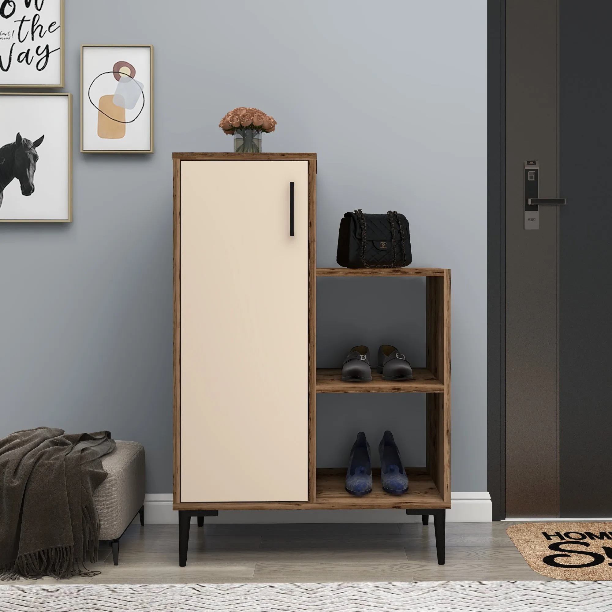 Beate Shoe Storage Shelf with Cabinet