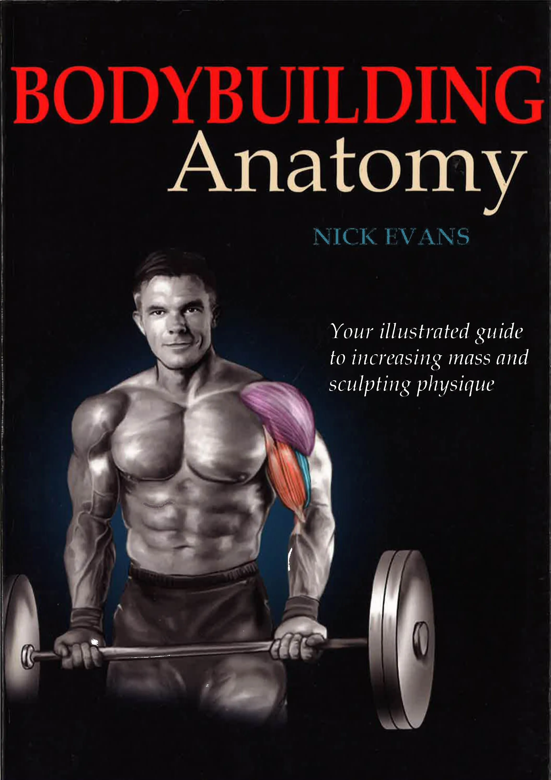 Bodybuilding Anatomy