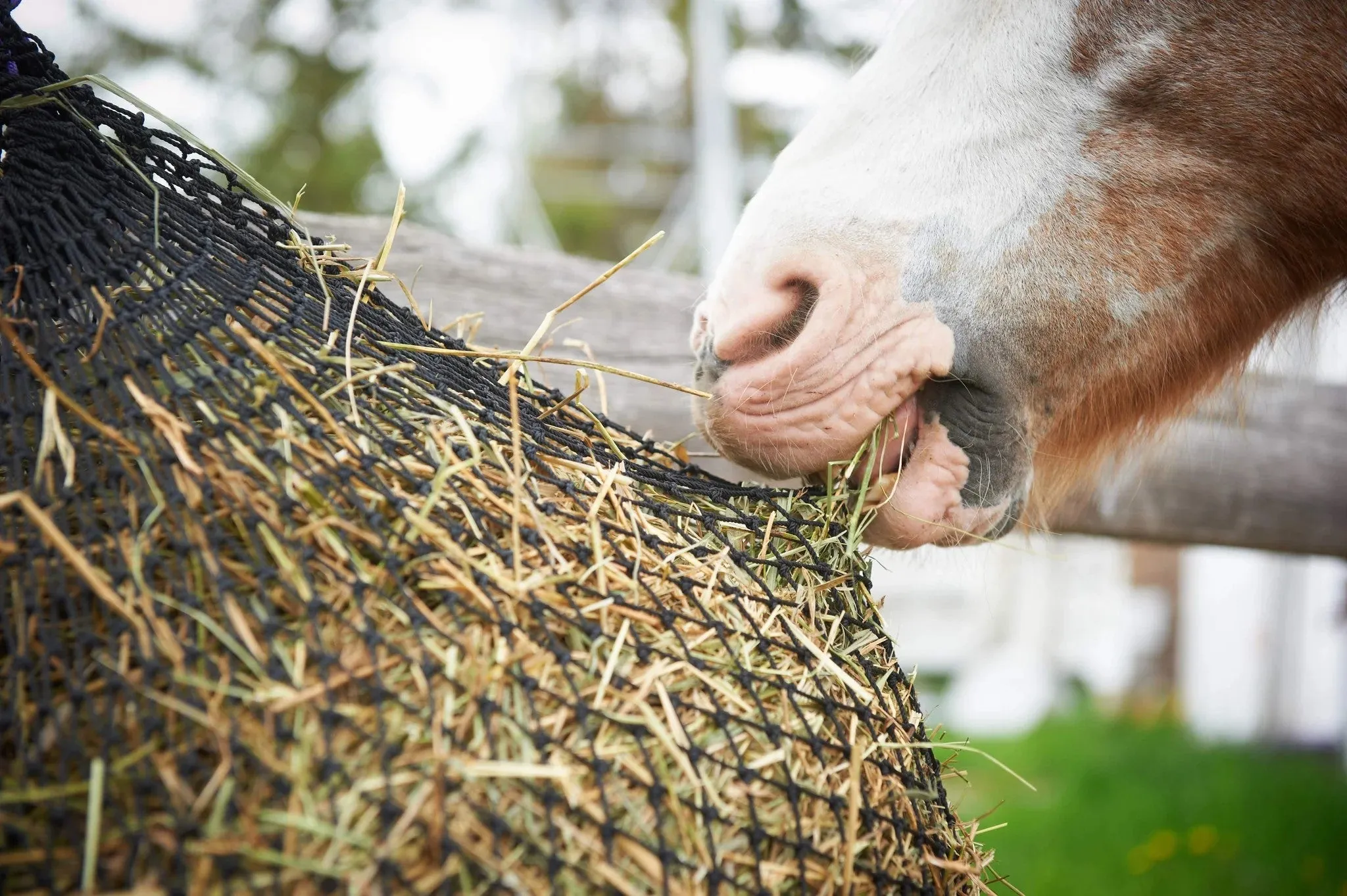 EcoNets Half Bale Hay Net