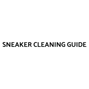 Free Sneaker Cleaning Guide for download