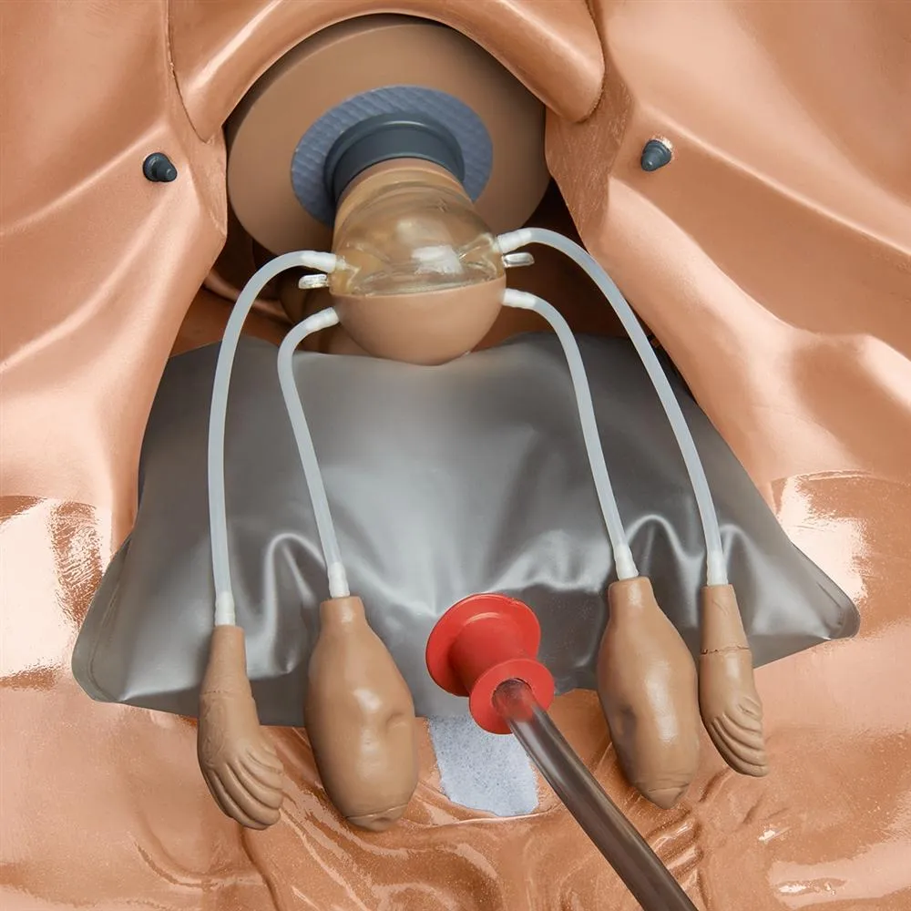 GYN-AID® Gynecologic Simulator, Light