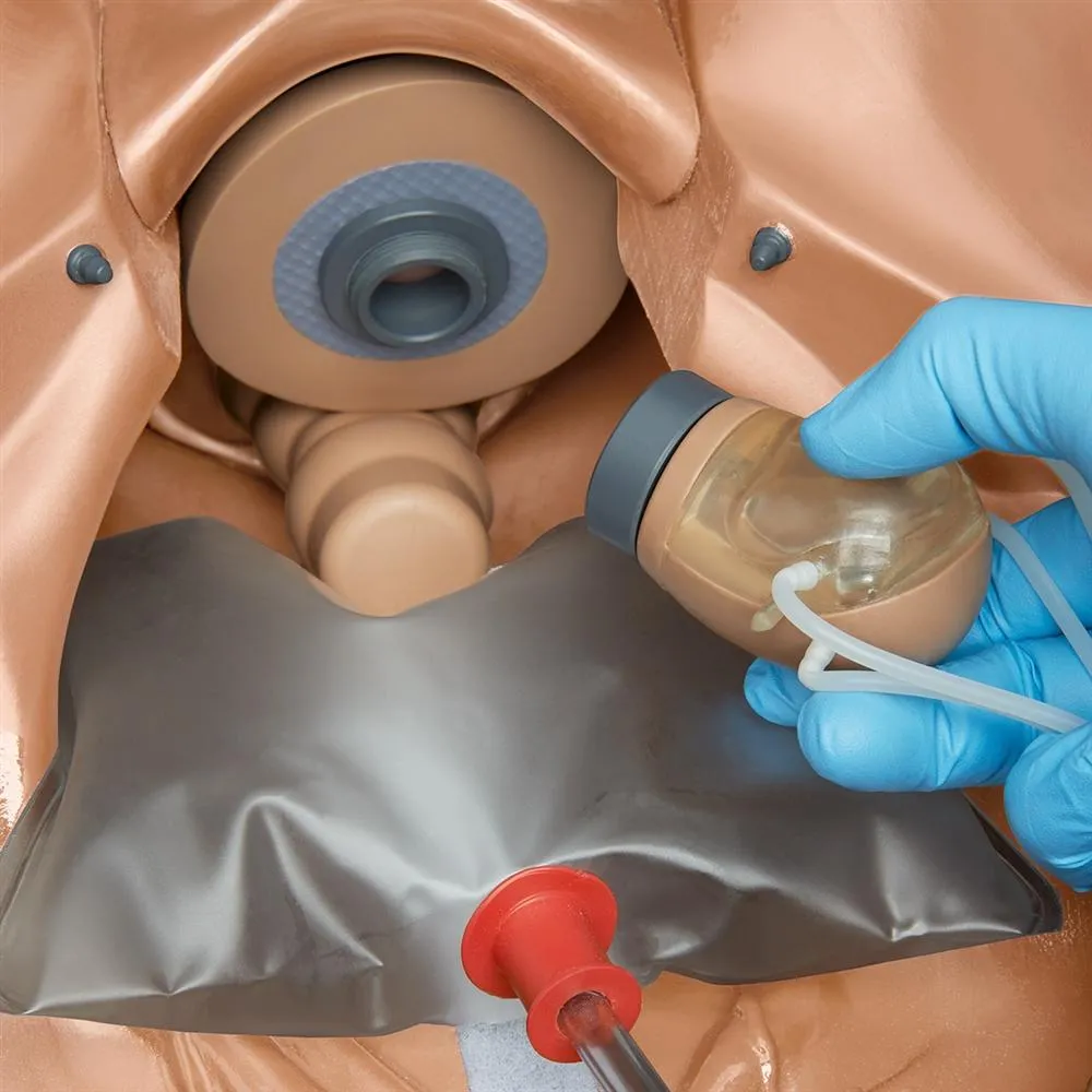 GYN-AID® Gynecologic Simulator, Light