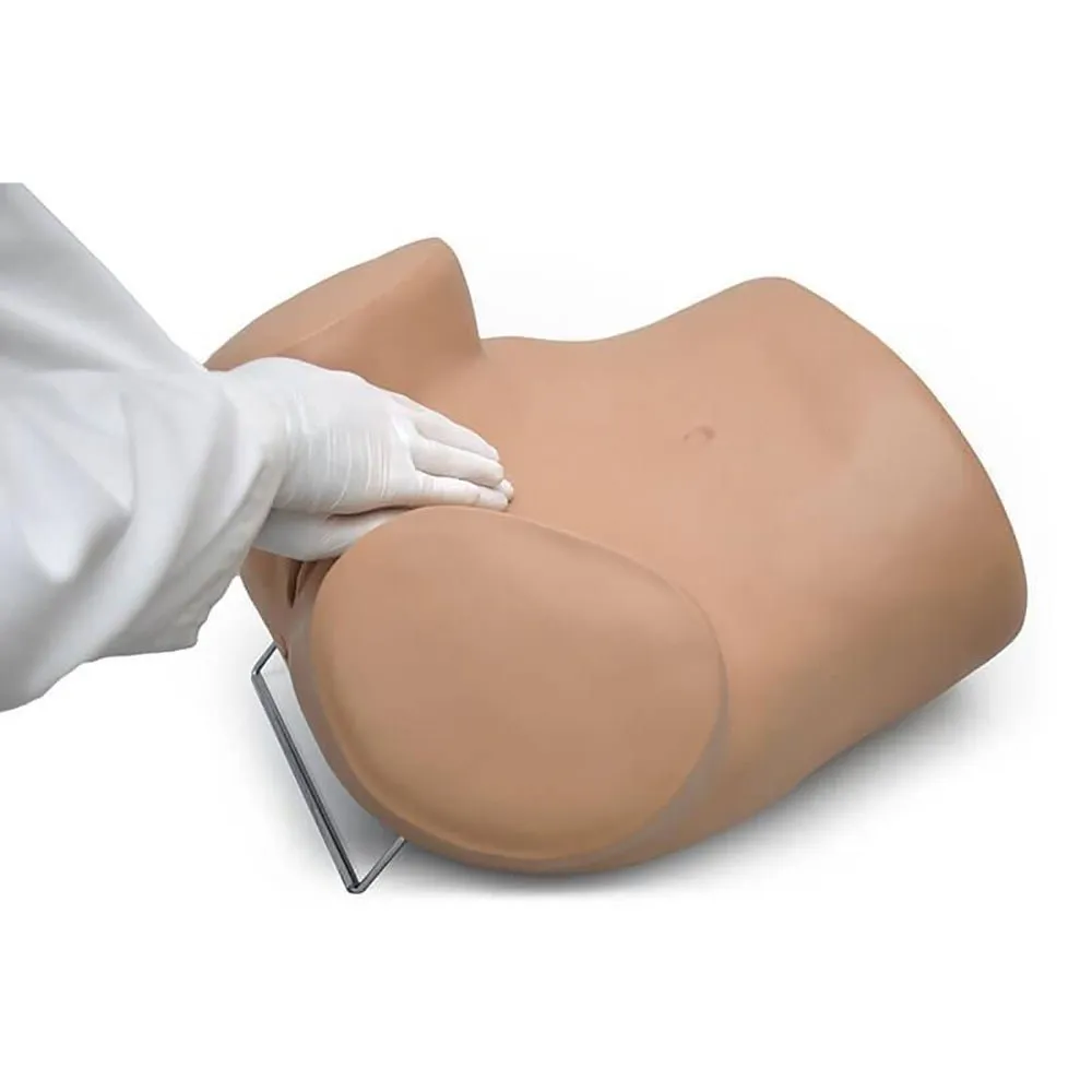 GYN-AID® Gynecologic Simulator, Light