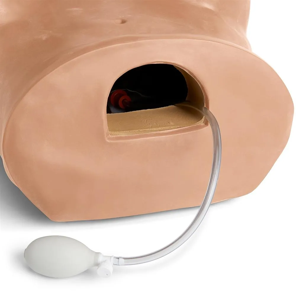 GYN-AID® Gynecologic Simulator, Light