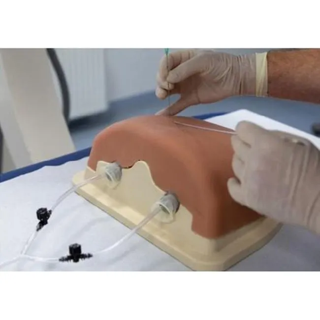 Image Guided Thoracic Spinal Injection Trainer