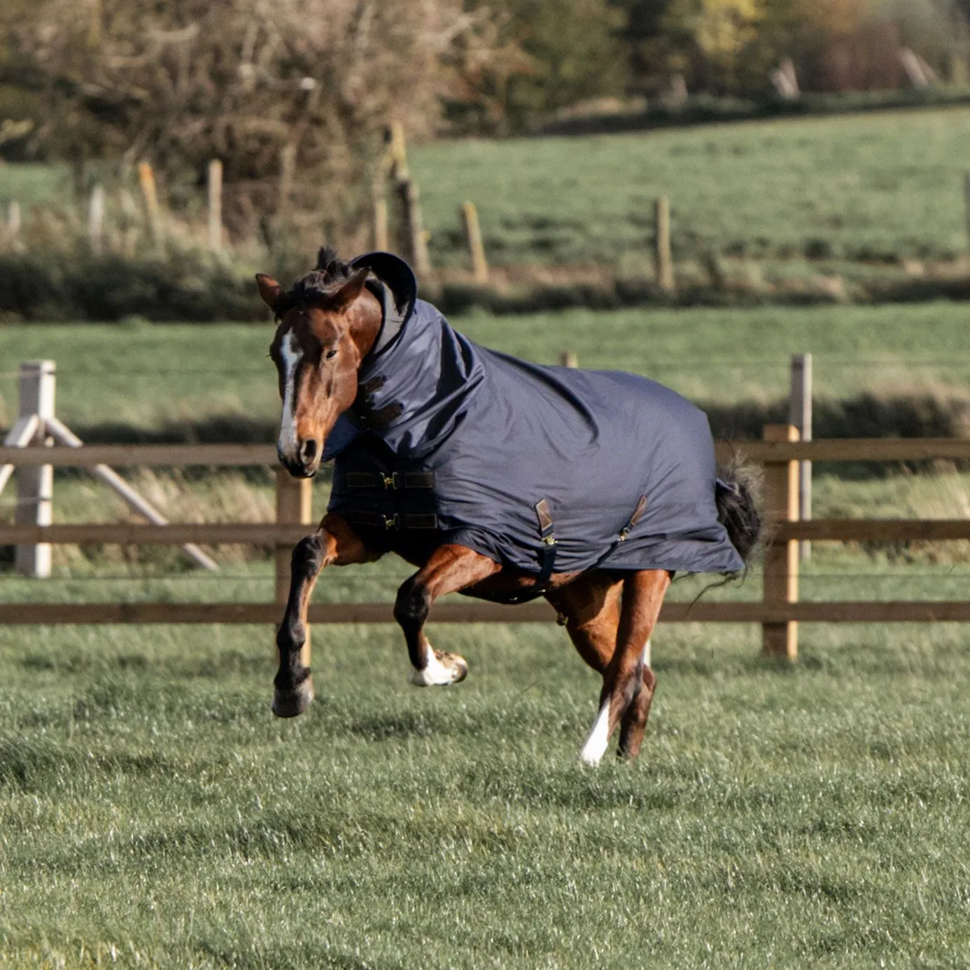 Kentucky Horsewear All Weather Quick Dry Fleece Turnout Rug 150g - Navy