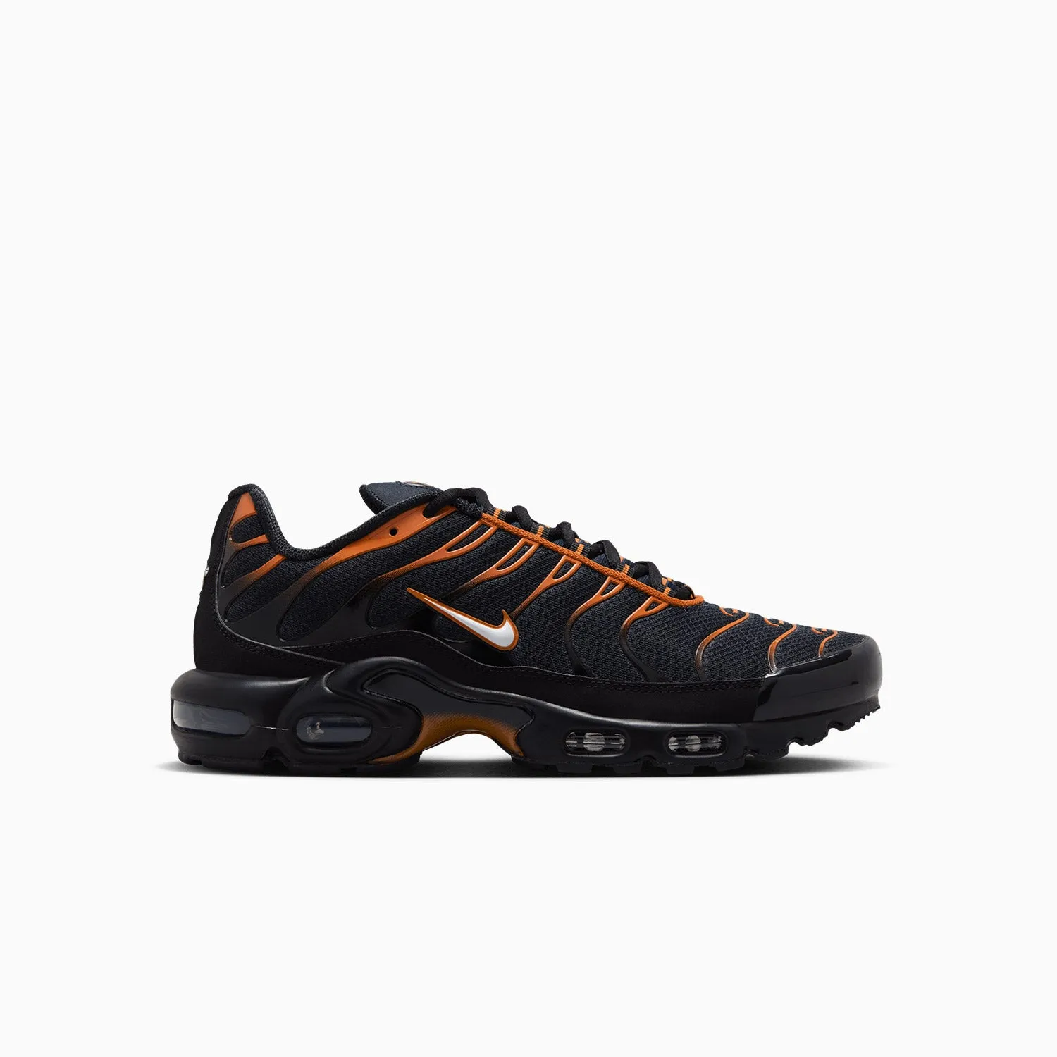 Men's Air Max Plus "Dark Obsidian"