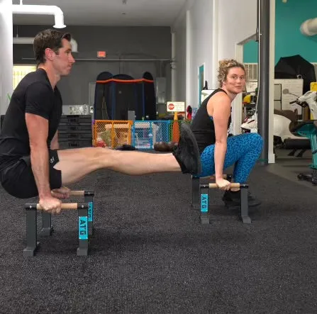 Mini Parallettes